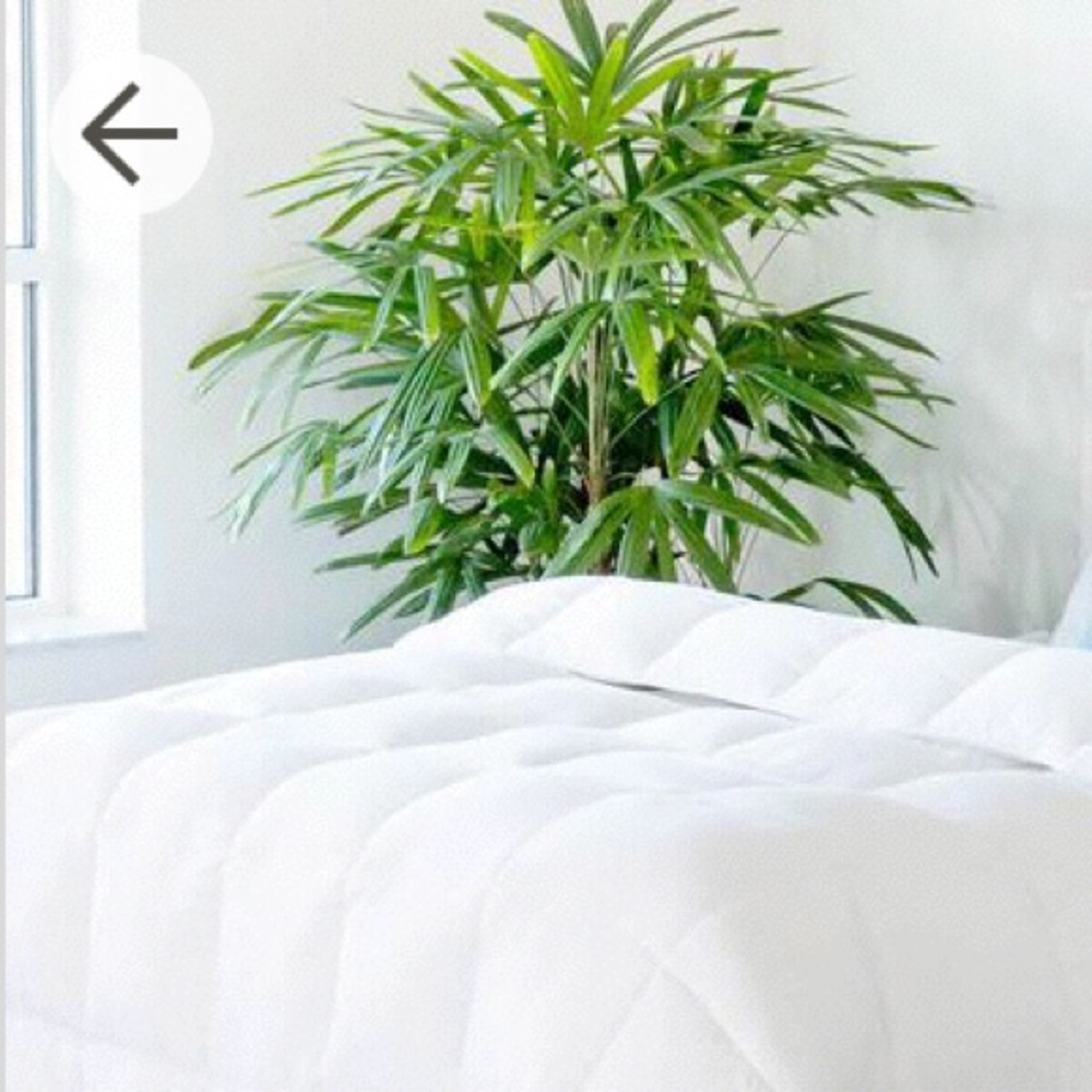 All-Season Down Alternative Comforter